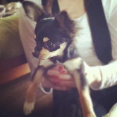 f:id:Bijim:20120605231200j:image f:id:Bijim:20120605231200j:image