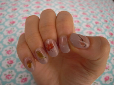 f:id:Bijim:20121013150010j:image