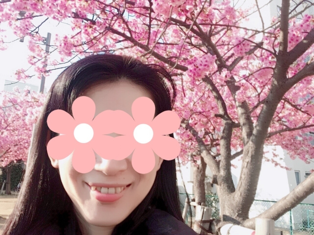 f:id:Binkan:20190306003523j:plain