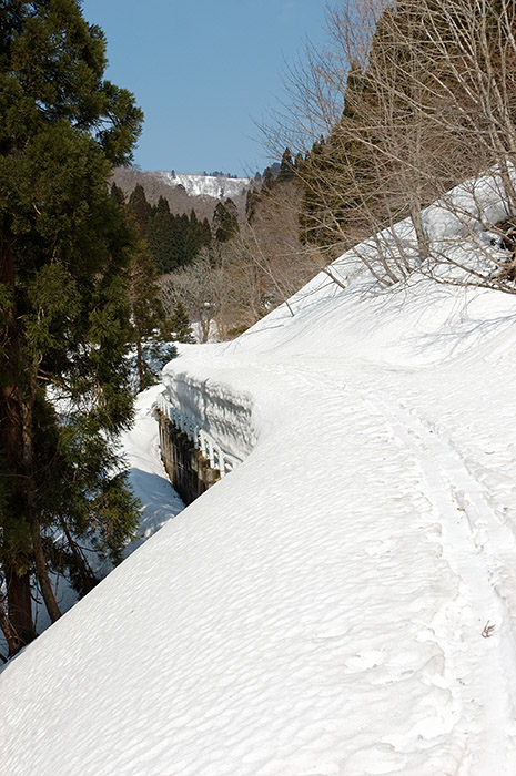 f:id:Biokovo:20120409100920j:image