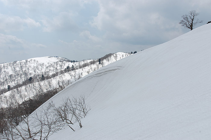 f:id:Biokovo:20120409120541j:image