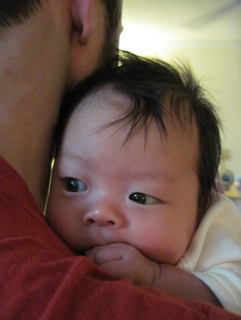 f:id:Biribi:20100819080905j:image