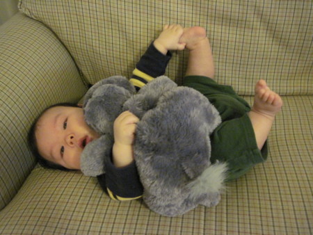 f:id:Biribi:20101120202708j:image