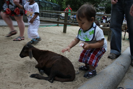 20120623085318