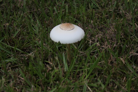 f:id:Biribi:20120805195324j:image