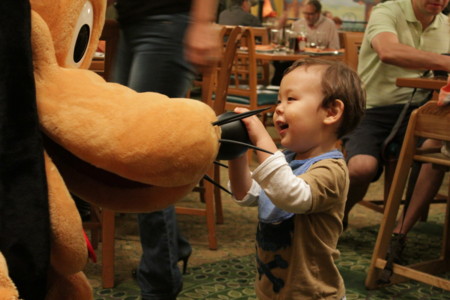 f:id:Biribi:20121113195606j:image f:id:Biribi:20121113195606j:image