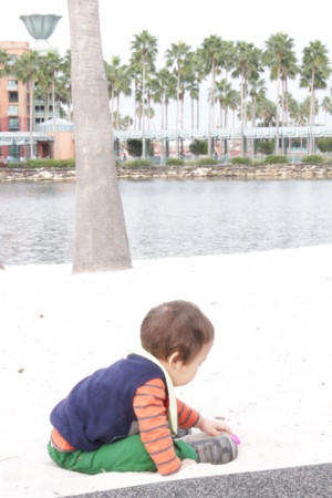f:id:Biribi:20121116170220j:image