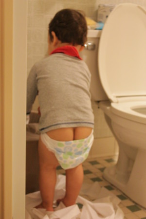 f:id:Biribi:20121116235256j:image
