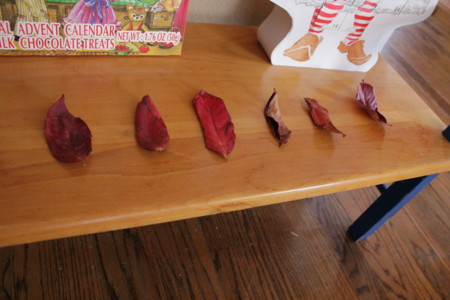 f:id:Biribi:20121202160131j:image f:id:Biribi:20121202160131j:image