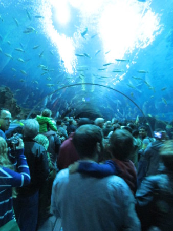 f:id:Biribi:20131228162359j:image f:id:Biribi:20131228162359j:image