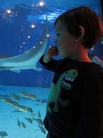 f:id:Biribi:20131228180006j:image f:id:Biribi:20131228180006j:image