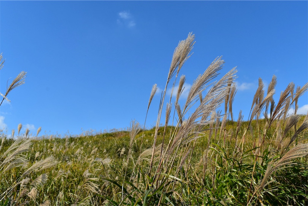 f:id:BitCorleone:20190831095921j:plain