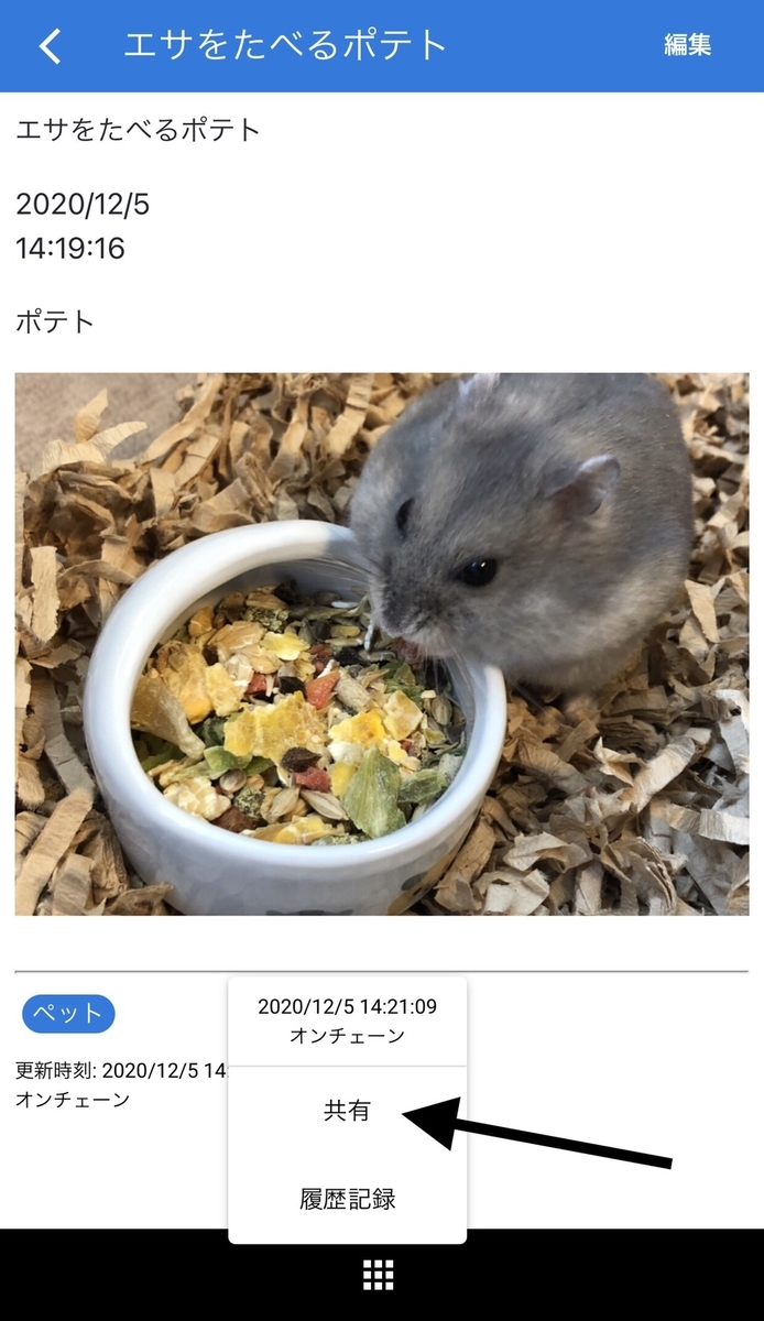 f:id:BitcoinSV:20201208223037j:plain