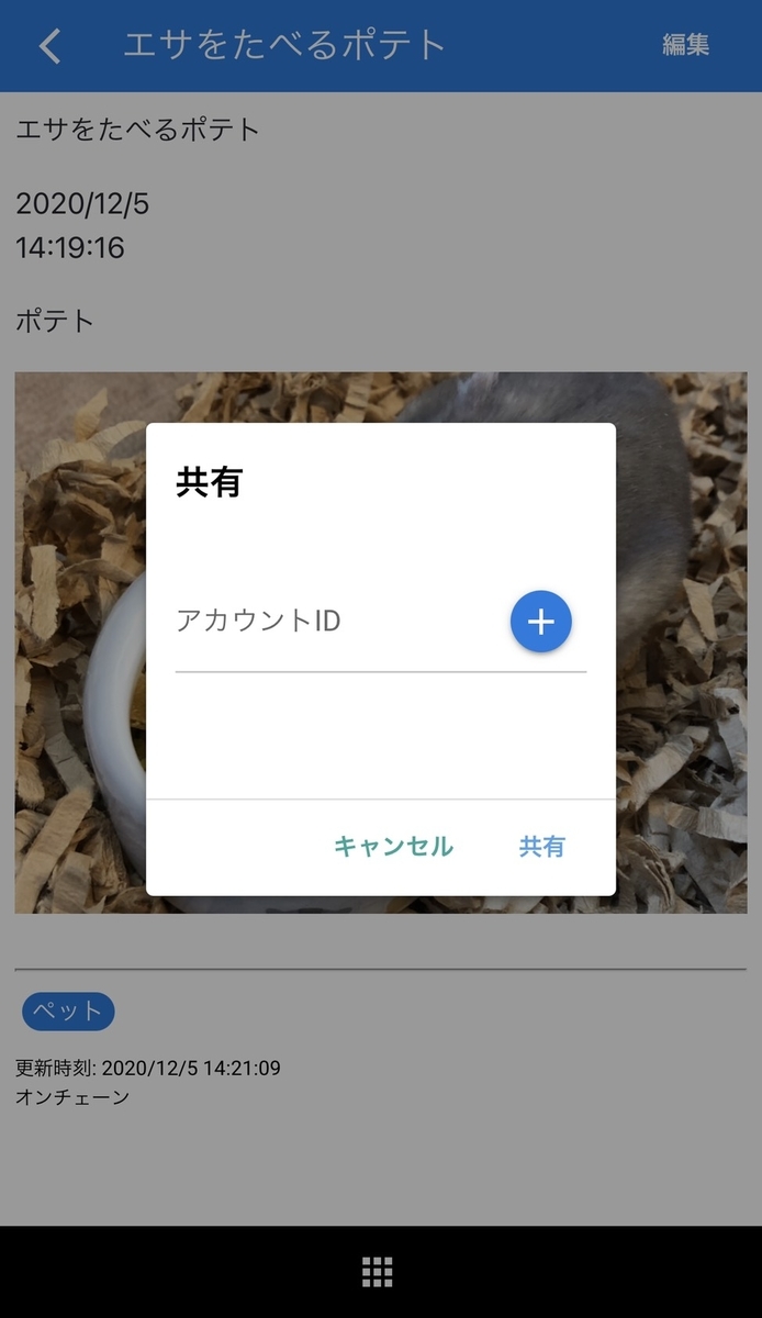 f:id:BitcoinSV:20201208223347j:plain