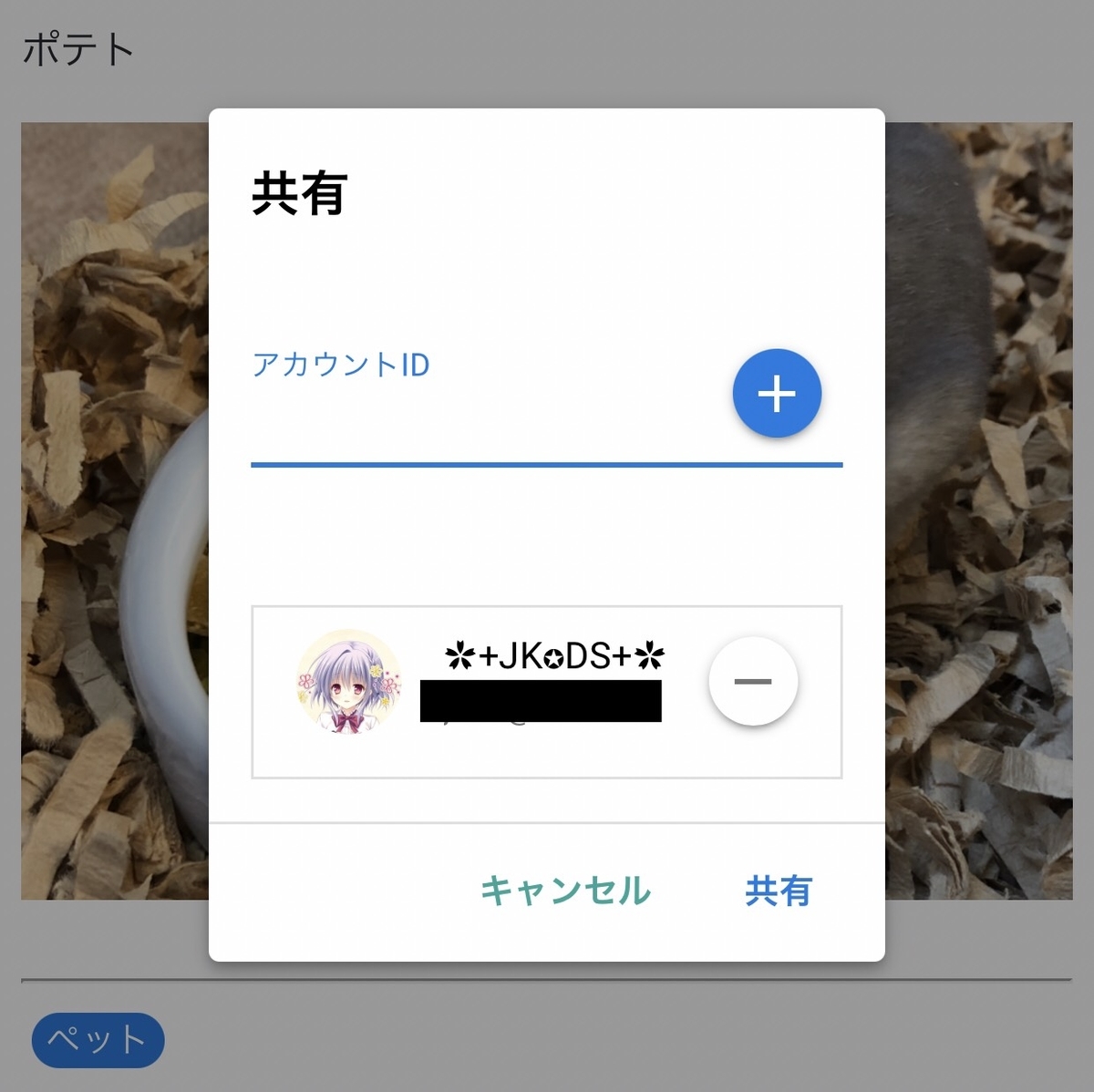 f:id:BitcoinSV:20201209123049j:plain