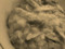 20090711235820
