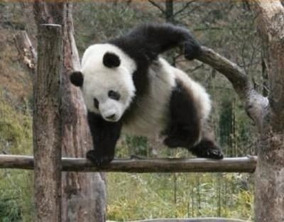 f:id:BlackSun:20181218045105j:plain