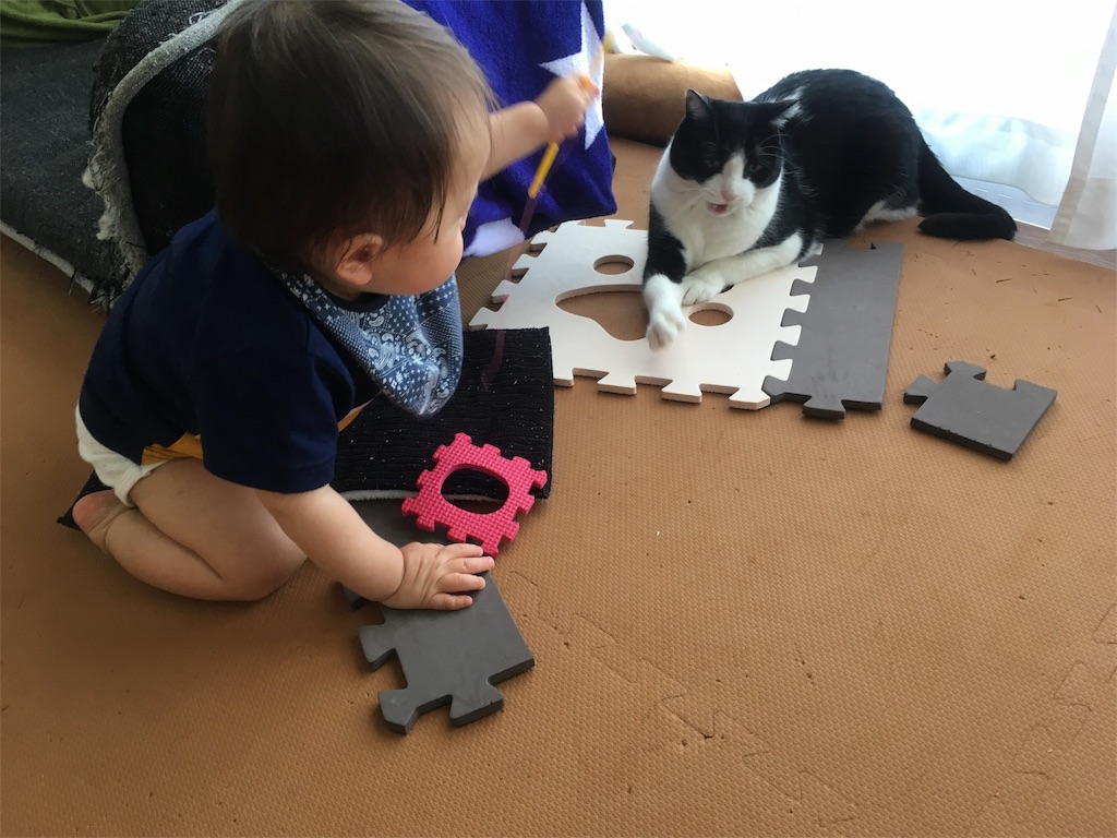 f:id:Black_coffee:20190614115204j:plain