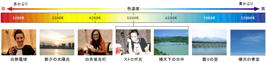 f:id:Blackbox_crusher:20210412230233p:plain