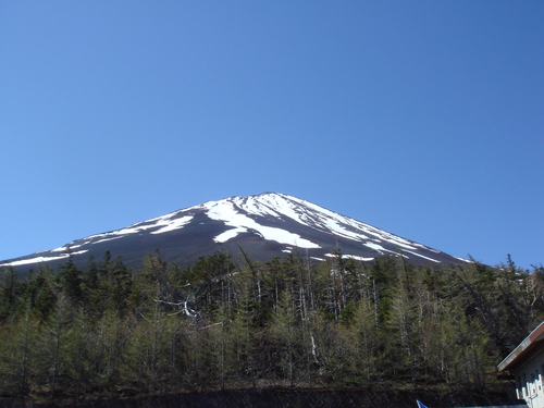 f:id:Blackcomb:20080601091743j:image:w500 f:id:Blackcomb:20080601091743j:image:w500