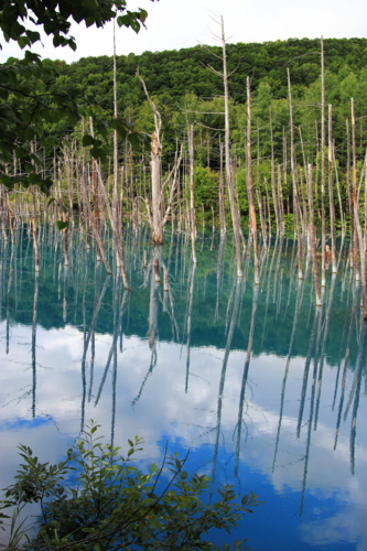 f:id:Blackcomb:20130729163254j:image:h270 f:id:Blackcomb:20130729163254j:image:h270