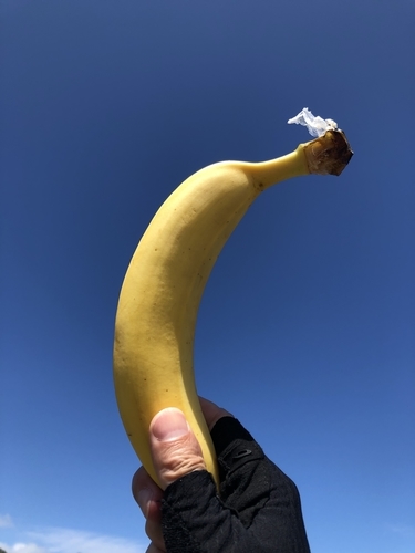 f:id:Blackcomb:20190915120802j:plain f:id:Blackcomb:20190915120802j:plain