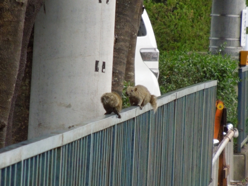 f:id:BladeCatcher:20130407100424j:image:w360 f:id:BladeCatcher:20130407100424j:image:w360