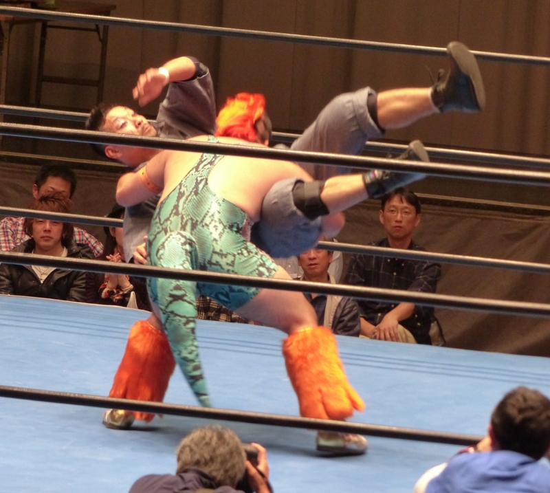 Amazon | フィギュア藤田和之 金髪新日本プロレス PRIDESUPER