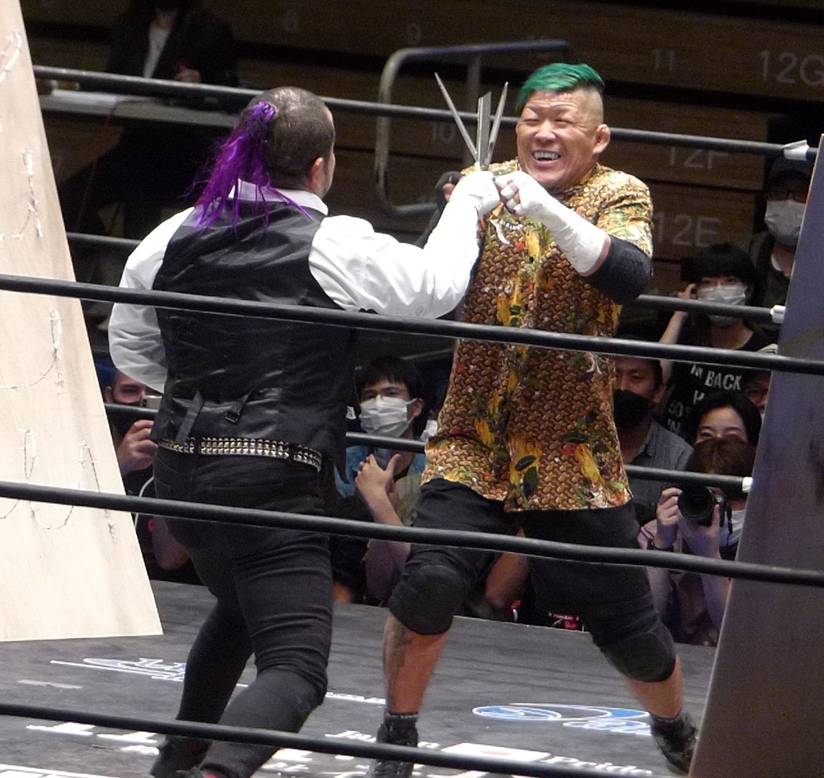 プロレスラー HEAD RIP Control 16 – Holabird Sports