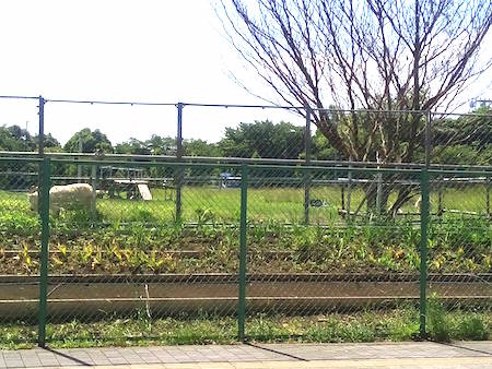 f:id:Blan:20170607142822j:plain f:id:Blan:20170607142822j:plain
