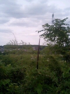 f:id:Blank:20060604144134j:image
