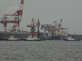 ALTAIR DREAM 7