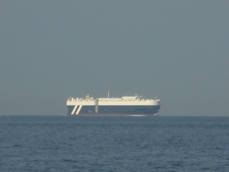 MSC IMMACOLATA