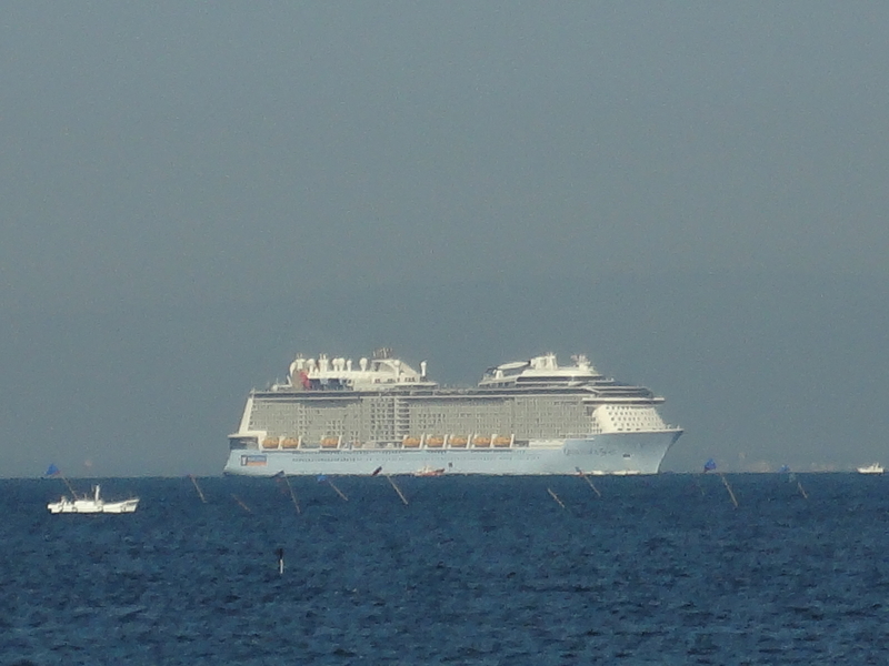 QUANTUM OF THE SEAS 1