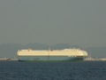 GARNET ACE 4