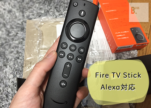 f:id:Bliss_Blink:20190329115501j:plain