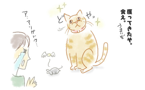 f:id:Bliss_Blink:20191206135335j:plain