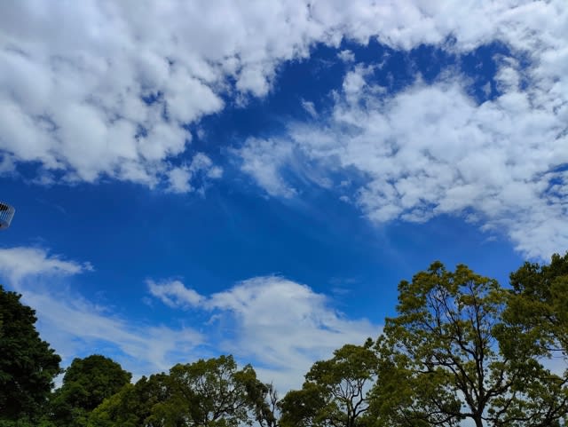 【思わず撮った空の写真】 - 小さなボクの小さな幸せ