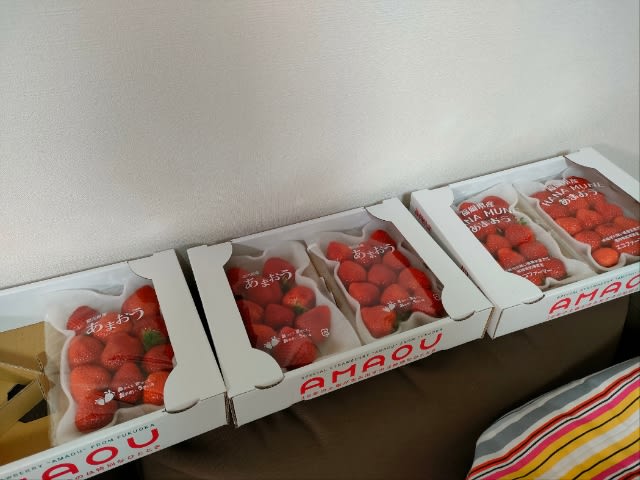 【春を告げるもの】ようやく届いたのは… - 小さなボクの小さな幸せ