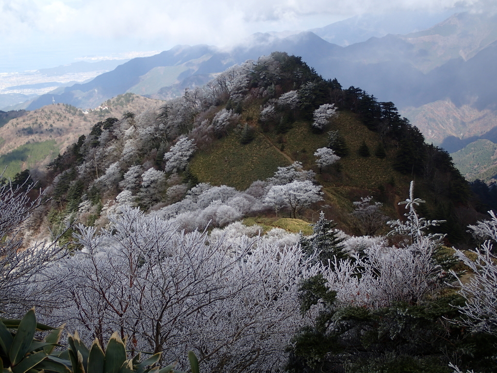 f:id:Blogger004:20181230235743j:plain f:id:Blogger004:20181230235743j:plain