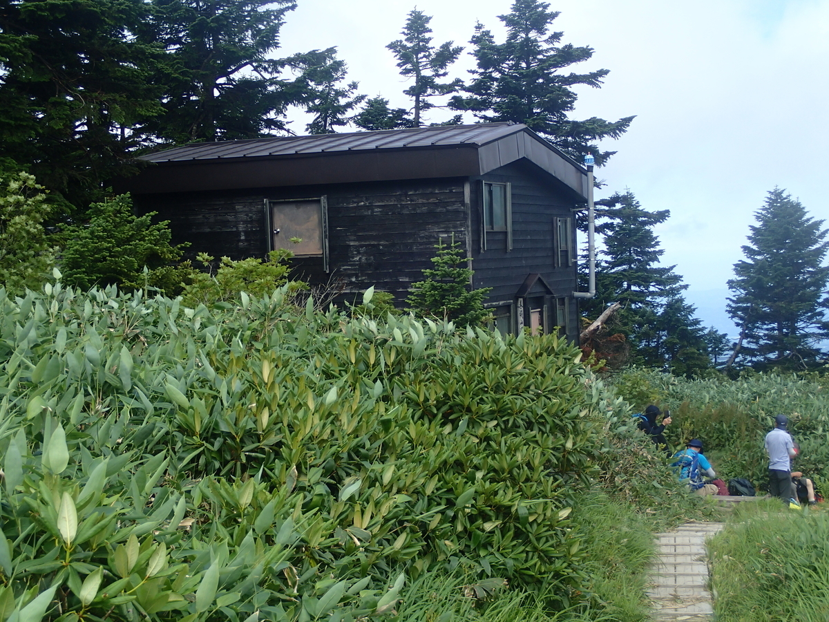 f:id:Blogger004:20210809214731j:plain