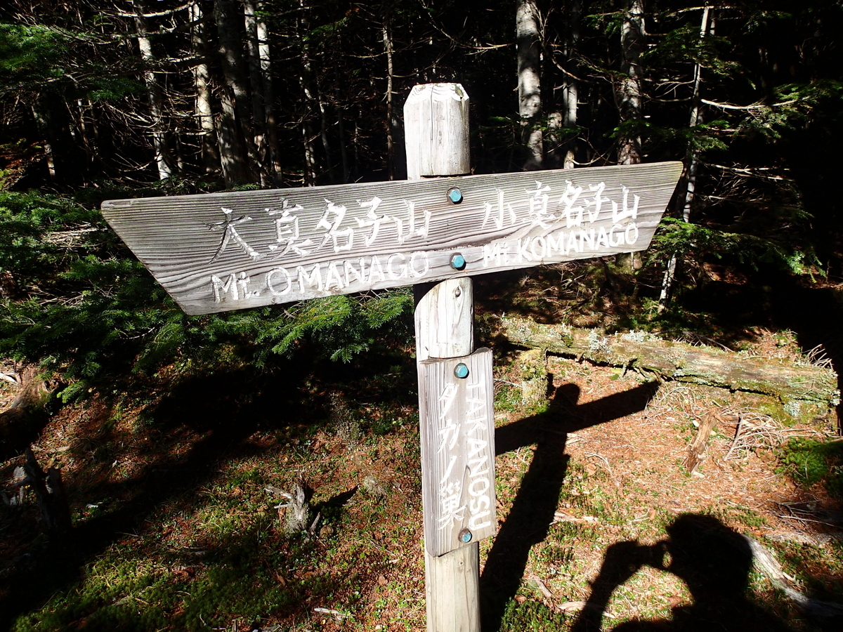 f:id:Blogger004:20211004204059j:plain