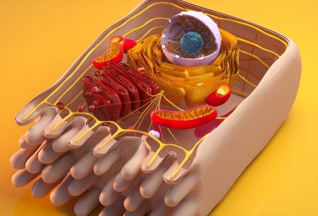 f:id:BloggerJIN:20210613065054j:plain