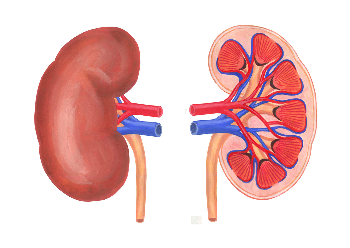 f:id:BloggerJIN:20210721065308j:plain