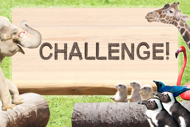 f:id:BloggerJIN:20210915213428j:plain