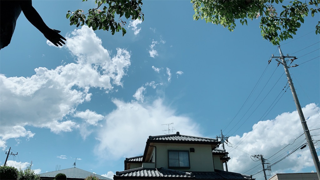 f:id:Blogsport:20190617193104j:image f:id:Blogsport:20190617193104j:image