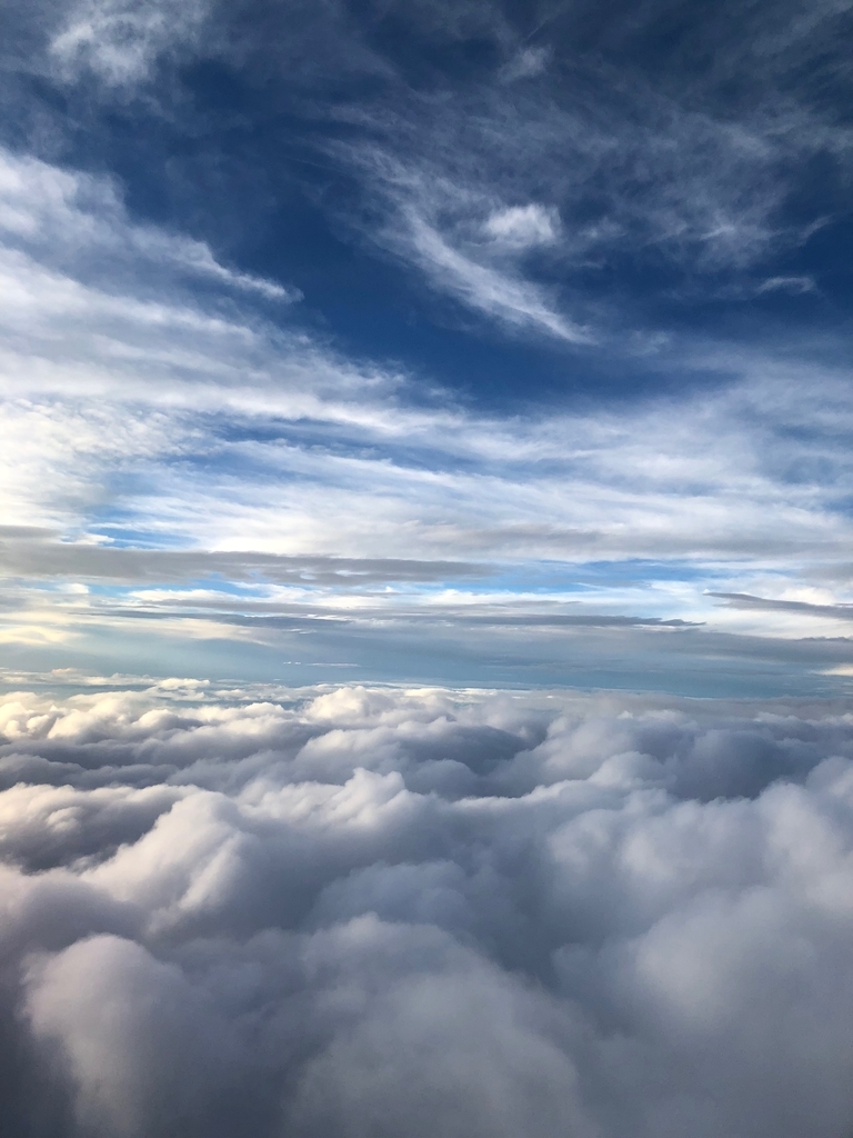 f:id:Blue-J:20190202173948j:plain f:id:Blue-J:20190202173948j:plain
