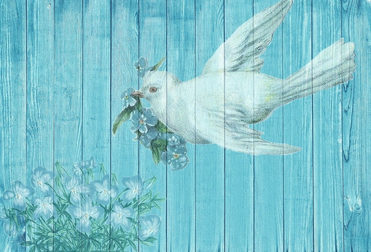 f:id:Blue-J:20200405170727j:plain f:id:Blue-J:20200405170727j:plain