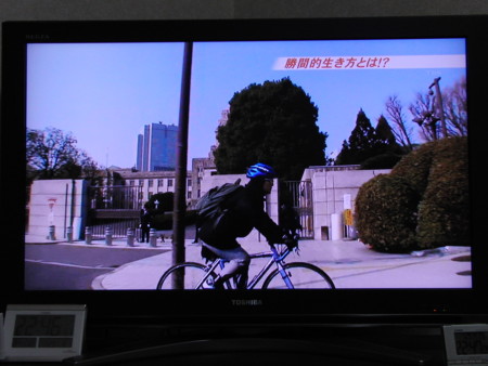 f:id:Blue-Period:20090129224801j:image