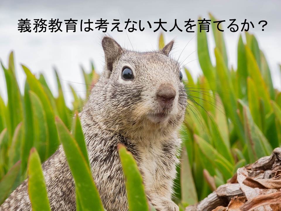 f:id:Blue2sky:20181125124747j:plain f:id:Blue2sky:20181125124747j:plain